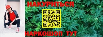индика Ипатово