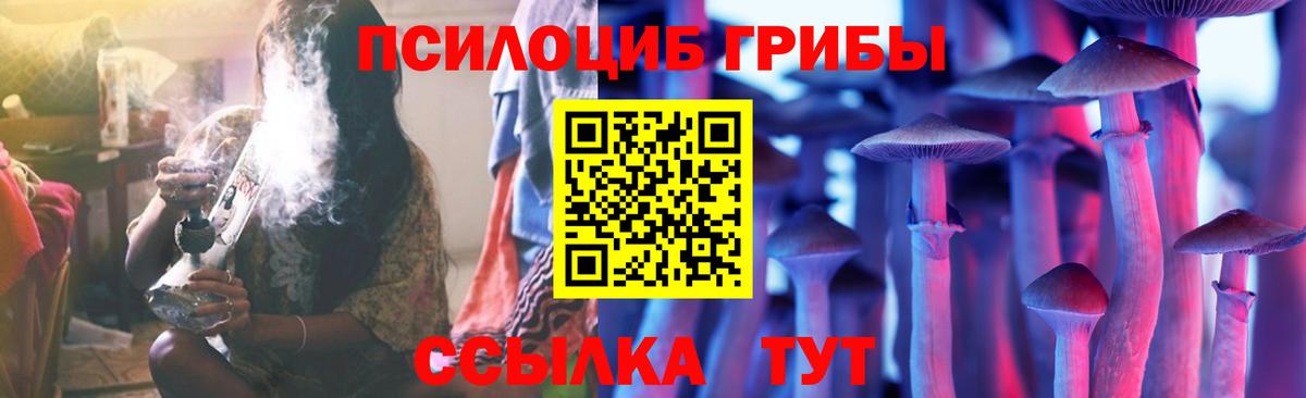 Псилоцибиновые грибы GOLDEN TEACHER Кимры